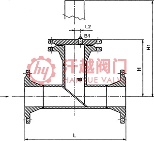 直流式T形過(guò)濾器